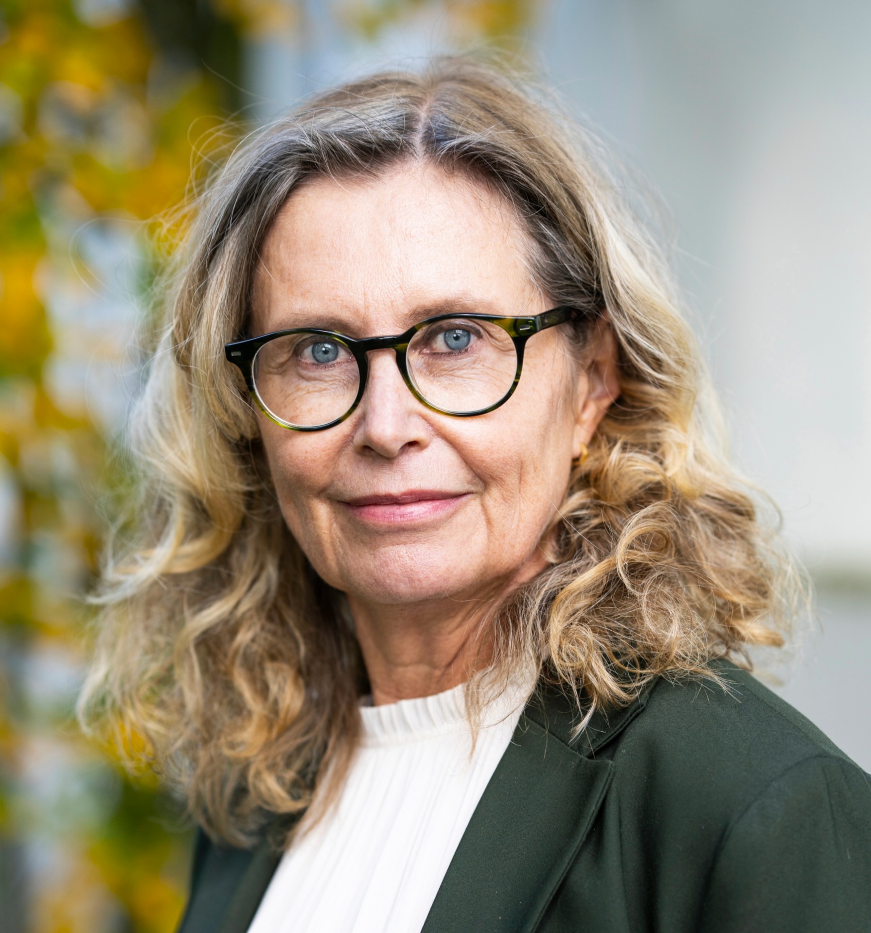 Professor Karin Aggestam